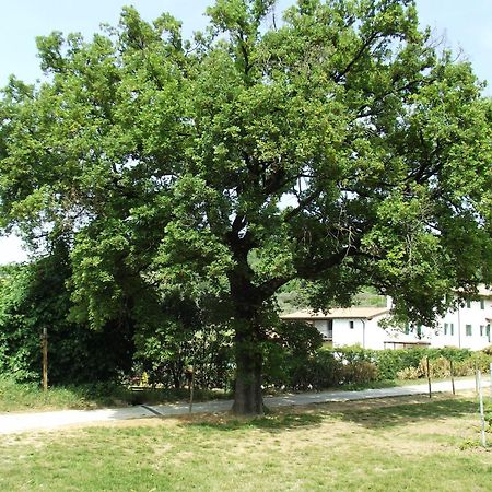 Agriturismo Ca' Castellani Μπαρντολίνο Εξωτερικό φωτογραφία